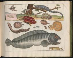 Abbildungen der merkwürdigsten Gegenstande aus dem Thier, Pflanzen - und Mineral - Reiche. .. .
Wien...