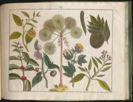 Abbildungen der merkwürdigsten Gegenstande aus dem Thier, Pflanzen - und Mineral - Reiche. .. .
Wien...