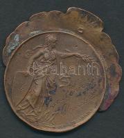 cca 1920. Nagyváradi Zsidó Magán Líceum Br emlékérem szignó:Dukász Árpád