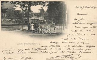 1899 Paris Jardin d´Acclimatation, zebra