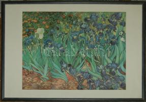 Vincent van Gogh: Íriszek, reprodukció színes faléc keretben 73x54cm