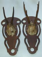 2db őzagancs fa táblán és 4db faszelet klf motívumokkal díszítve