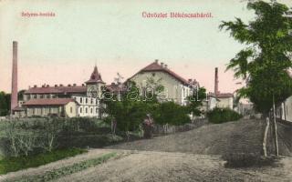 Békéscsaba selyemfonoda (EB)