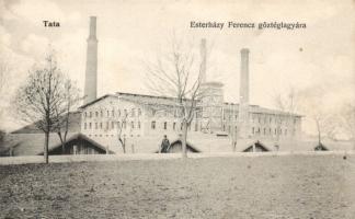 Tata Eszterházy Ferenc gőztéglagyára
