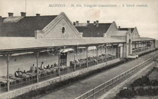 Algyógy iron works sanatorium