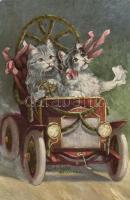 Cats, automobile, artist signed