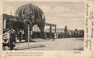 Gödöllő az Erzsébet-szobor leleplezése, Darányi beszédet intéz a királyhoz