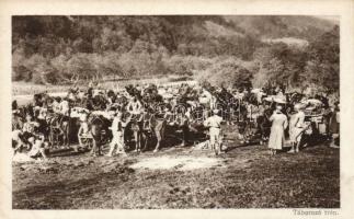 Táborozó trén 'Érdekes Újság' kiadása, Military WWI cavalry camp