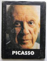 1981 Somlyó György: Picasso, Helikon Kiadó Bp., rengeteg képpel illusztrálva