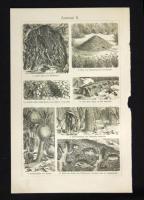 cca 1900 30 db metszet: rovarok, épületek, kultúrtörténet. Szép állapotban 25x30