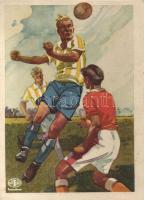 Indanthren textile paint