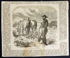 cca 1880 4 db régi metszet: A Fehér ház építése 36x25 cm + 2 db Garibaldi, + felvonulás