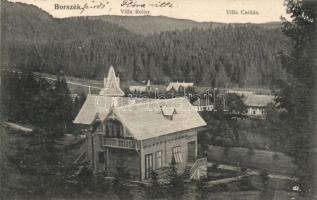 Borszék Villa Reiter and Villa Caritás