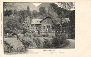 Herkulesfürdő forestry house (cut)