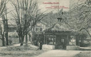 Cemétefürdő fountain, Villa Debrecen