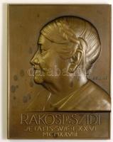 Csillag István (1881-1968) 1928. "Rákosi Szidi - Aetatis Svae" színésznő bronz emlékplakett (60x78mm) T:2 /  1911. Szidi Rákosi actress Br plaque Sign: István Csillag (105x80mm) C:XF