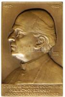 Berán Lajos (1882-1943) DN. "Majláth De Székely" bronz emlékplakett (84x55mm) eredeti tokban! T:1- /  ND. Majláth De Székely Br plaque Sign: Lajos Berán (84x55mm) in original box! C:Au HP-1234.