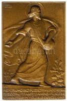 Berán Lajos (1882-1943) DN. "Majláth De Székely" bronz emlékplakett (84x55mm) eredeti tokb...