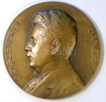 Berán Lajos (1882-1943) DN. "Dr. Szendrei János" művészeti író, történész, a Magyar Tudományos Akadémia tagja  bronz emlékérem (70mm) T:2,2- /  ND. Dr. János Szendrei author, historian, member of the Hungarian Academy of Sciences Br commemorative medal Sign: Lajos Berán (70mm) C:XF,VF