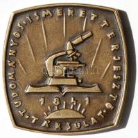 Csontos László 1939. "Bugat Pál" bronz emlékérem (79x83mm) T:2 / 
1939. Pál Bugat Br comme...