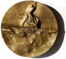 Gáti Gábor (1937-) 1977. "Ady Endre" költő, politikai újságíró bronz emlékérem (112mm) T:2...