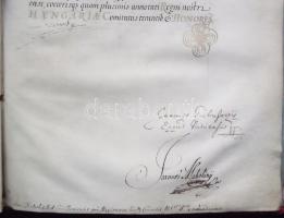 VÉDETT! 1680 I. Lipót császár által kiadott armalis (címeres-levél) Moll (Mohl) Mihály és családja r...