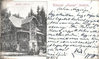 1899 Tusnádfürdő Villa Elza (cut)