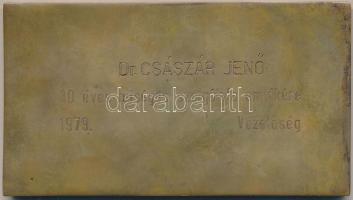 1979. MTA Martonvásár Mezőgazdasági Kutató Intézet Br emlékplakett díszdobozban