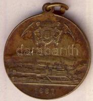 1896. Magyarország ezeréves fennállása és Ős Budavára emlékének Br medálja T:2 ph