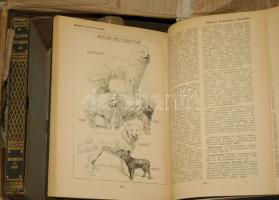 Új idők lexikona I.-XXIV. kötet. (hiány: 5,18,24) (kétszer 6,9.), Signer és Wolfner Irodalmi intézet...