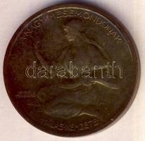 1925. "Jókai Mór" aranyozott Br emlékérem. Szign.Berán Lajos T:3