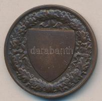 DN "Budapesti (Budai) Torna Egylet Botond 1869." Br díjérem szign.Berán Lajos T:2