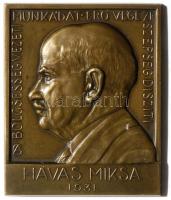 Gárdos Aladár (1878-1944) 1931. "Havas Miksa" közgazdász, matematikus bronz plakett (57x70mm) T:2 / 1931. Miksa Havas economist and mathematician Br plaque Sign: Aladár Gárdos (57x70mm) C:XF HP-2485.