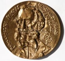 Kő Pál (1941-) 1981 "Podmaniczky Frigyes" politikus, író, a Magyar Tudományos Akadémia tagja bronz plakett (111mm) T:2 / 1981. Frigyes Podmanicky (Pallas Athene) politician, author, member of the Hungarian Academy of Sciences Br plaque Sign: Pál Kő (111mm) C:XF