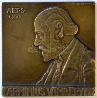 Körmendi Frimm Jenő (1886-1959) 1912. "Vámbéry Ármin" orientalista, egyetemi tanár, a Magyar Tudományos Akadémia tagja bronz plakett (60x60mm) T:2 / 1981. Ármin Vámbéry orientalist, professor ,member of the Hungarian Academy of Sciences Br plaque Sign: Jenő Körmendi Frimm (60x60mm) C:XF