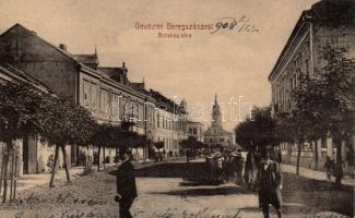 Beregszász Bocskai utca