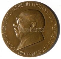 Murányi Gyula (1881-1920) ~1910. "Lukács László" jogász, bányatulajdonos, politikus bronz emlékérem (60mm) T:2 / ~1910. László Lukács lawyer, mine owner and politician Br plaque Sign: Gyula Murányi (60mm) C:XF HP-3692.