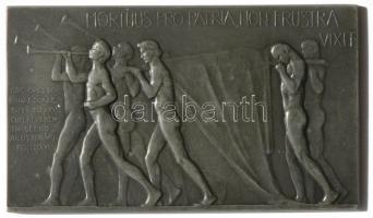 Murányi Gyula (1881-1920) 1916. "Martuus Pro Patria, Non Frustra Vixit" hadifém plakett (101x60mm) T:2 / 1916. Martuus Pro Patria, Non Frustra Vixit metal plaque Sign: Gyula Murányi (101x60mm) C:XF HP-3716.