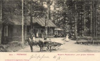 Höllenthal Weber´s restaurant