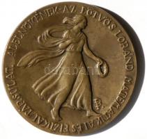 Pátzay Pál (1896-1979) DN. "Tangl Károly" fizikus, egyetemi tanár bronz emlékérem (70mm) T...
