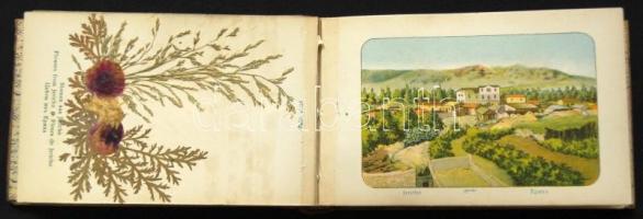 A Szentföld képei és virágai fa-borítású füzet a 12 kőnyomatos képpel és szárított virágokkal. / Flo...