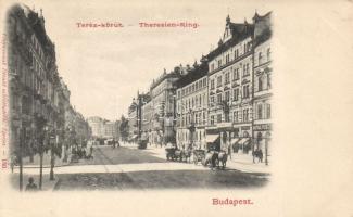 Budapest VI. Teréz körút, Divald