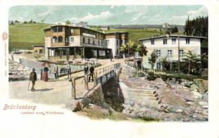 Brückenberg Hotel Waldhaus