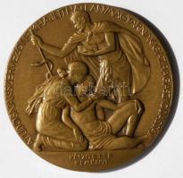 Reményi József (1887-1977) 1927. "Dr. Wenhardt János" bronz emlékérem (60mm) T:2 /
1927. D...