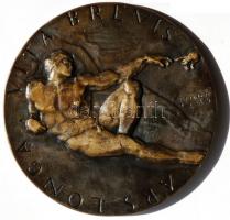 Renner Kálmán (1927-1994) 1964. "Michelangelo" festő, építész, szobrász bronz emlékérem (1...