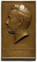 Fritz Mihály (1947-) DN. "Szent-Györgyi Albert" orvos, biokémikus bronz emlékérem (56mm) T:2 / ND. Albert Szent-Györgyi doctor, biochemist Br commemorative medal Sign: Mihály Fritz (56mm) C:XF