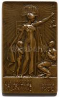 Telcs Ede (1872-1948) 1905. "VII. Nemzetközi Büntetés-végrehajtási Kongresszus / Budapest" bronz plakett (82x50mm) T:2 / 1905. International Penal and Prison Congress Br plaque Sign: Ede Telcs (82x50mm) C:XF HP-6068.