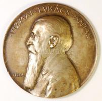 Telcs Ede (1872-1948) 1903. "Vizmai Lukács Antal" közgazdász, elnök, a Magyar Földhitelintézet pénzügyi igazgatója ezüstözött bronz emlékérem (65mm) T:2,2- R! / 1903. Antal Lukács Vizmai economist, director silver plated Br commemorative medal Sign: Ede Telcs (65mm) C:XF,VF Rare HP-6061.