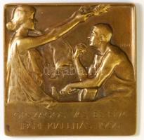 Telcs Ede (1872-1948) / Berán Lajos (1882-1943) 1906. "Országos Vas- és Fémipari Kiállítás" bronz plakett (60x60mm) T:1-,2 / 1906. National Iron and Metal Industry Exhibition Br plaque Sign: Ede Telcs / Lajos Berán (60x60mm) C:Au,XF