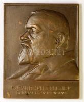 Visnyovszky Lajos (1890-1973) 1921. "Dr. Gyurmán Emil" orvos bronz plakett (75x60mm) T:2- kis folt / 1921. Dr. Emil Gyurmán doctor Br plaque Sign: Lajos Visnyovszky (75x60mm) C:VF small spot HP-6452.